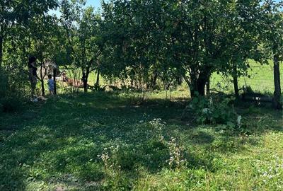 Casă cu 6 camere cu Teren 1900 Mp în Vălenii de Munte - 2