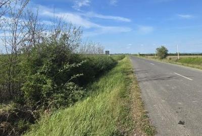Teren de 500 mp, în Păulești - 3