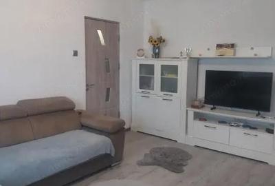 Apartament cu 2 camere semidecomandat în Brazda lui Novac