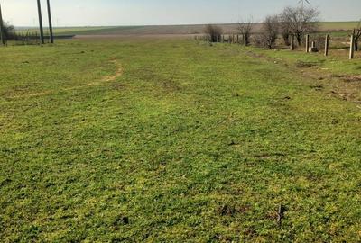 Spațiu comercial, în Nicolae Bălcescu - 4