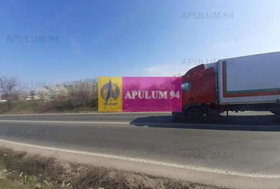 Teren de 4800 mp, în Glina - 5