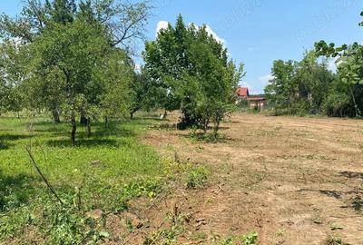 Vanzare Teren Blejoi - Prahova - 1