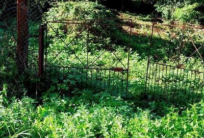 Teren de 1894 mp, în Tismana - 2