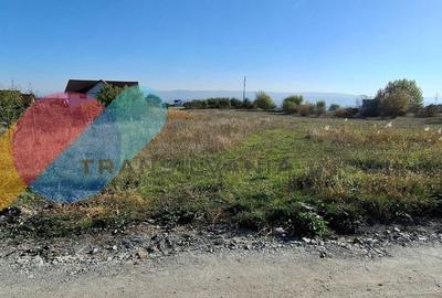 Teren intravilan cart Dambul Rotund Cluj-Napoca 3500mp - 1