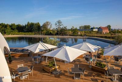 Teren de 40100 mp, în Cicârlău - 10