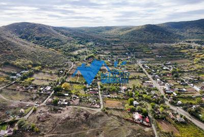 Teren intravilan NICULITEL, zona deosebita, 3044MP - 4