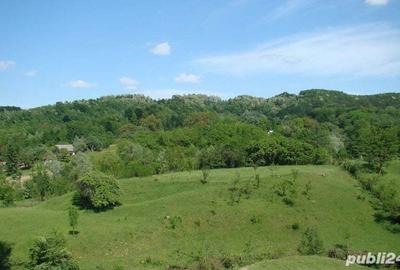 Teren de 5800 mp, în Valea - 1