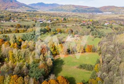 Vanzare teren intravilan 37723 mp Zarnesti Tohanita - 2