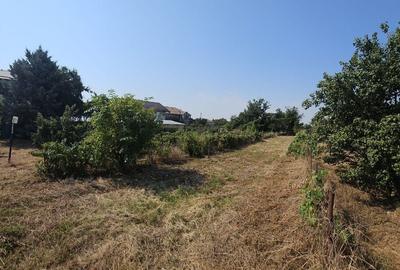 Vanzare teren Clinceni strada Principala Vanzare teren Clinceni strada Principala - 10