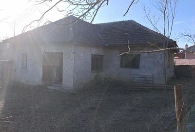 Casă cu 3 camere cu Teren 1400 Mp în Vintere - 1