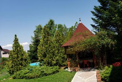 Vila Snagov-Ciofliceni - 2