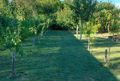 Casa de vanzare Oituz 59 - 10