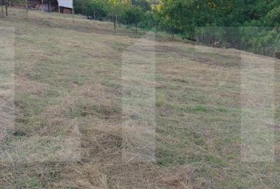 Teren de 800 mp, în Ciurila - 3