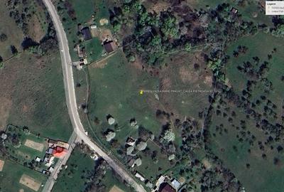 Teren intravilan de vanzare - 1