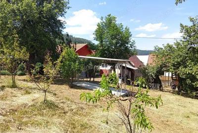 Casă cu Teren 1439 Mp în Anina - 2