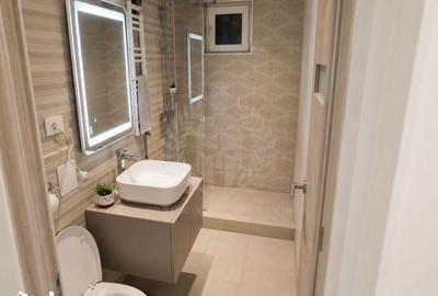 Apartament cu 2 camere, mobilat în Malu Roșu - 8