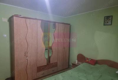 Casă cu 6 camere cu Teren 1500 Mp în Islaz - 1