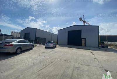 Hala Industriala Ovidiu, Constanta - 8