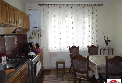 Casa P+ 2E de vanzare semicentral Satu Mare - 14