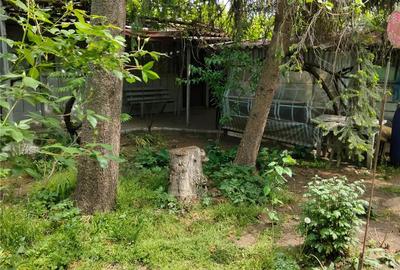 Casă cu 3 camere în Glodeanu-Siliștea - 8