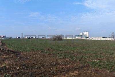 Dragomiresti Valea, langa centura, teren 31.200 mp, 35E/mp - 9