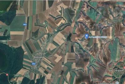 Teren Negureni, cota parte 1/8, ID: R2695094 - 19