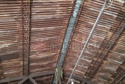 Depozit de vânzare – 392 mp construiți, Timis - Orțișoara, zonă industrială Avic - 3