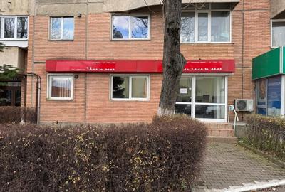 Spatiu comercial, str. Traian in zona int. cu str. Zizinului, spitalul judetean - 2