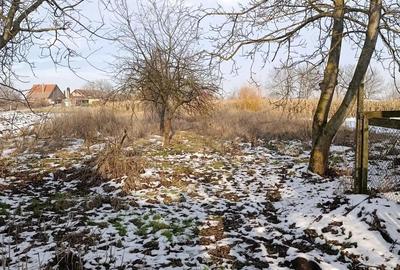 Vand casa cu 3 camere ?i teren mare in Diosig, - 2