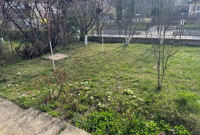 Casă cu 4 camere în Gura Beliei - 4