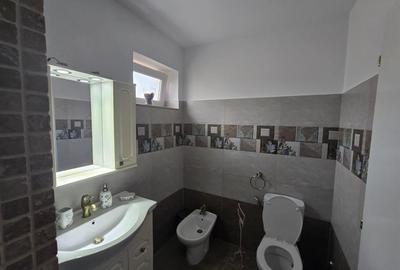 Inchiriere Vila De Lux in Tara Fagarasului Inchiriere Vila De Lux in Tara Fagarasului - 13