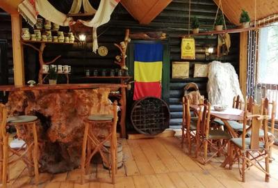 Cabana Sibiu Intravilan 4622mp Munte - 5