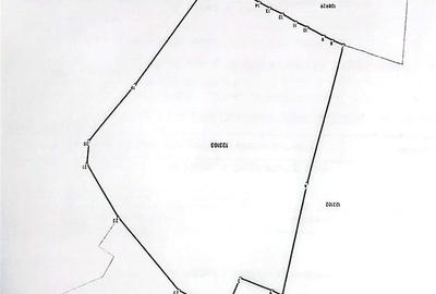 Teren intravilan, 21.000 mp, Zona Intre Barse, spre Plaiul Foii, Zarnesti - 6
