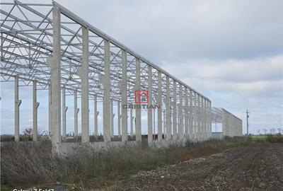 Depozit/hala/spatiu industrial Mogosoaia - Buftea - 8