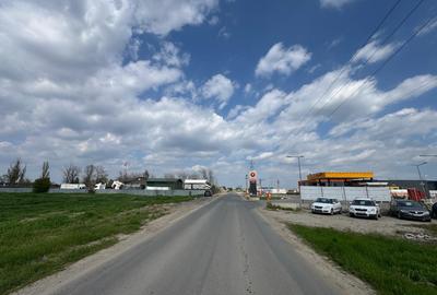 Teren Construcții intravilan de 20000 mp, în Vârteju - 3