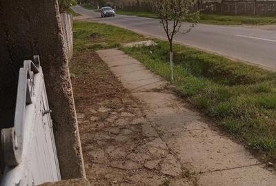 Teren de 700 mp, în Băcălești - 2
