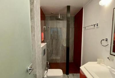 Studio + Centrala Proprie - Zona Tabacarie - 3