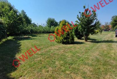 Casă familială de vânzare în Covasna, pe strada Târgului! - 4