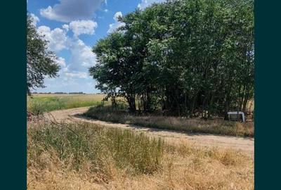 Teren de 477 mp, în Clinceni - 3