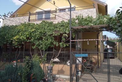 Casă cu 6 camere în Lumina - 1