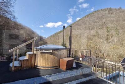 Casă cu 5 camere cu Teren 3000 Mp în Valea Inzelului - 10