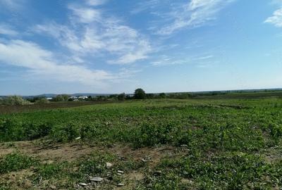 Teren de 6200 mp, în Săsenii Noi - 4