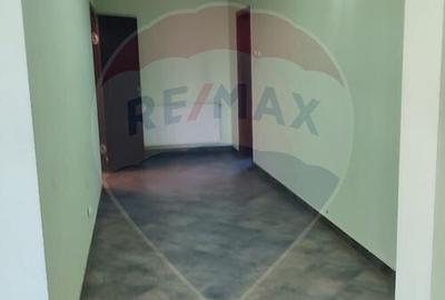 Spa?iu comercial Traiav Vuia - 150mp - 20