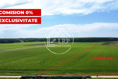 Teren Construcții intravilan de 25000 mp, în Dascălu - 1