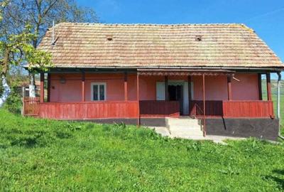 Casă cu 2 camere în Vale - 8