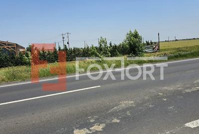Teren agricol extravilan de 20000 mp, în Becicherecu Mic