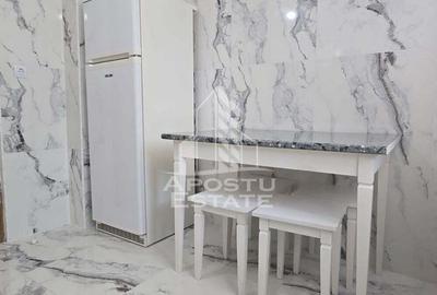 Apartament cu 2 camere decomandat, mobilat în Micălaca - 10