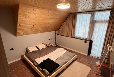 Casă cu 4 camere cu Teren 5000 Mp în Pietreni - 3