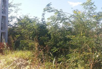 Teren 15000 mp Vernesti, Buzau cu PUZ - 10