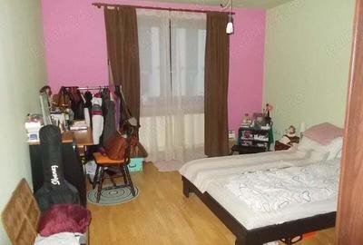 Vila, Timisoara, zona Bucovina, P+E+M, 6 dormitoare + anexa cu ap cu 2 cam, 470mp teren - 7